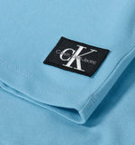 Calvin Klein, T-shirts, Calvin Klein - Pale blue crew neck T-shirt
