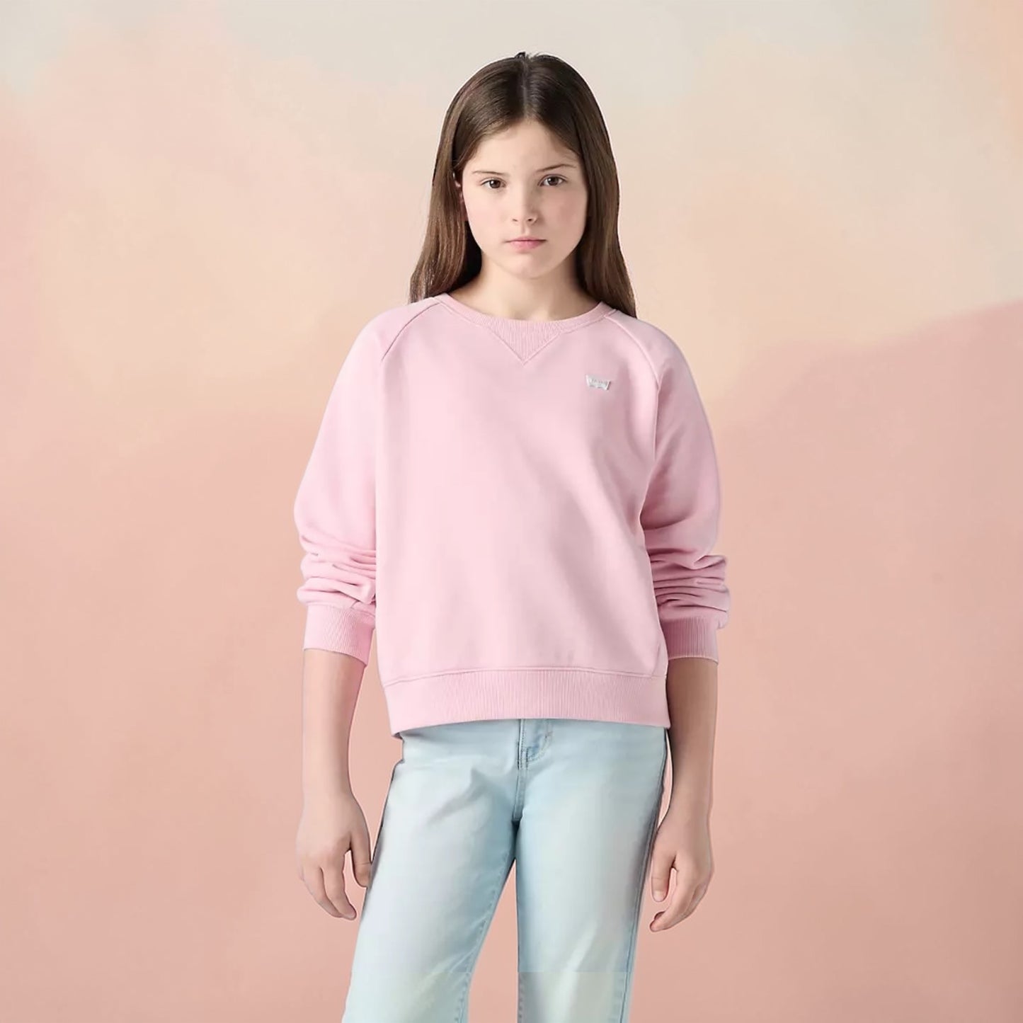 Levi's - Pink Sweat Top