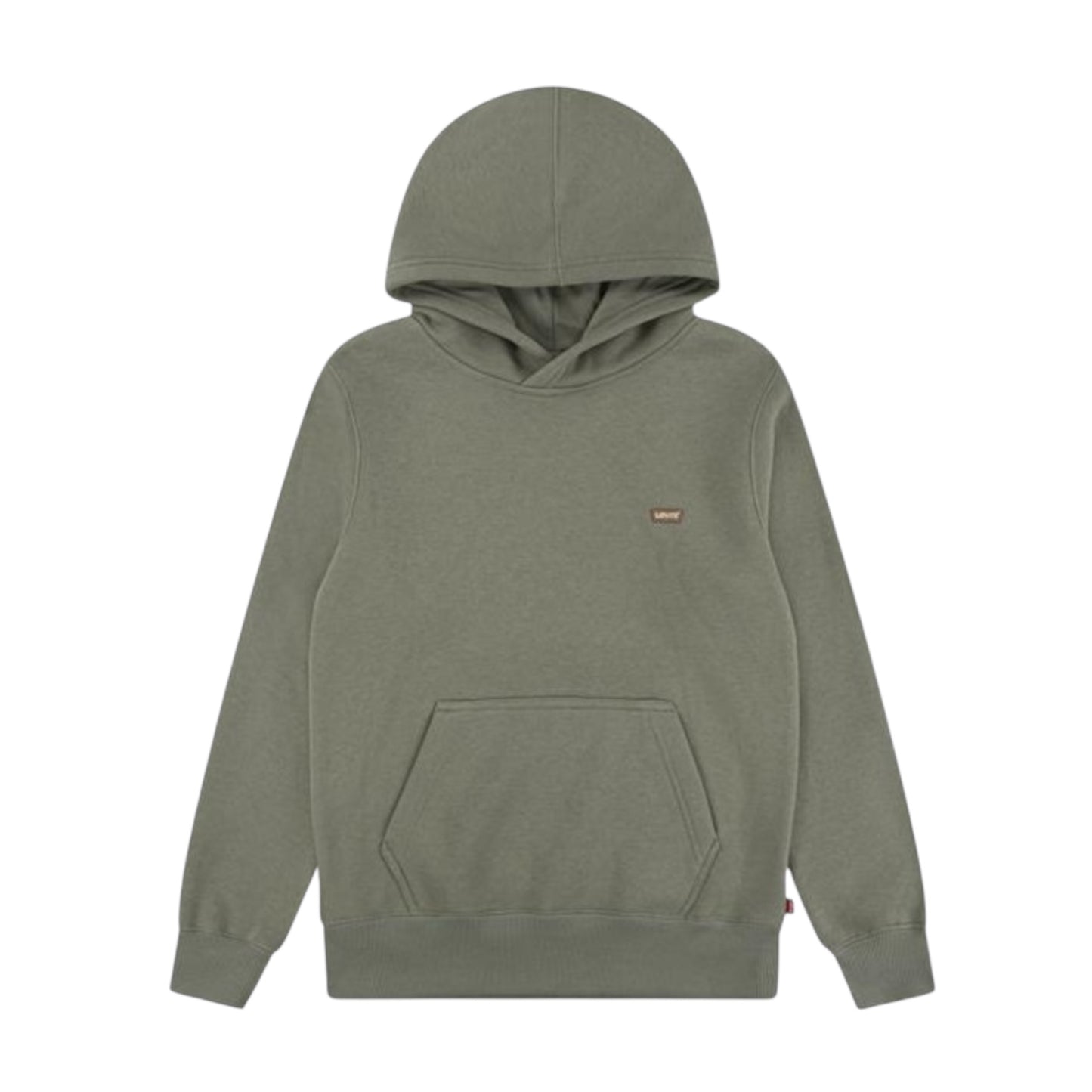 Levi’s - Deep Lichen Green hoodie