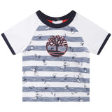 Timberland, T-shirt, Timberland - T-shirt, White/Blue Stripe