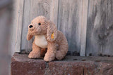 Steiff, soft toy, Steiff - Berno Goldendoodle 36cm